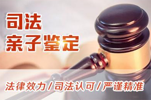 黔南司法亲子鉴定多少钱的费用,黔南司法亲子鉴定需要如何做